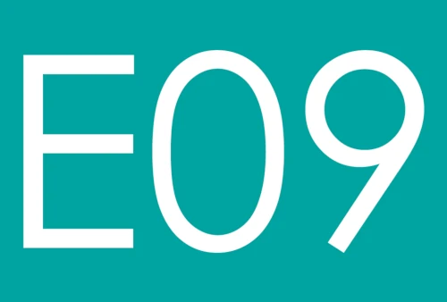 Weiße Buchstaben und Ziffern „E09“ auf türkisem Hintergrund als Schild oder Kennzeichnung.